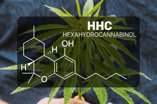 Qu'est-ce que le HHC (hexahydrocannabinol) ?