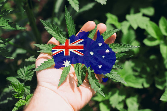 Le cannabis en Australie