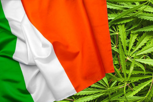 Drapeau italien avec des feuilles de chanvre en arrière-plan