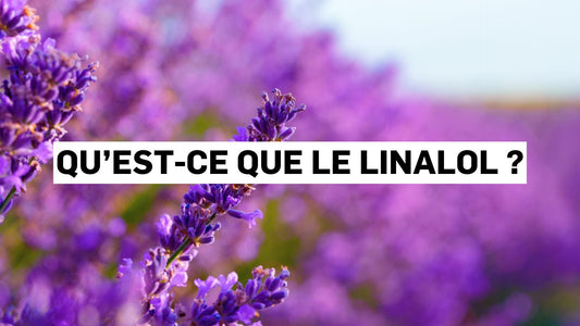 Qu’est-ce que le linalol ?