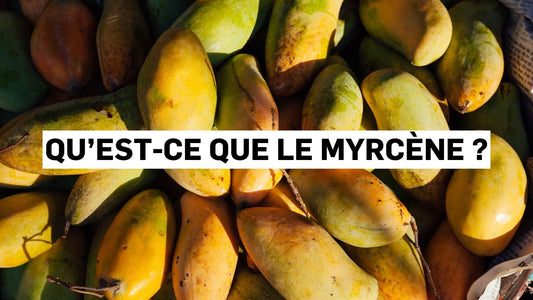 Qu’est-ce que le myrcène ?