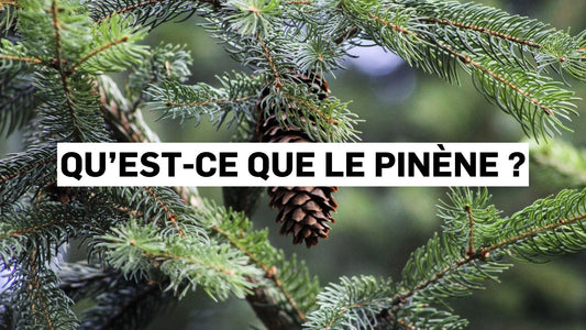 Qu’est-ce que le pinène ?