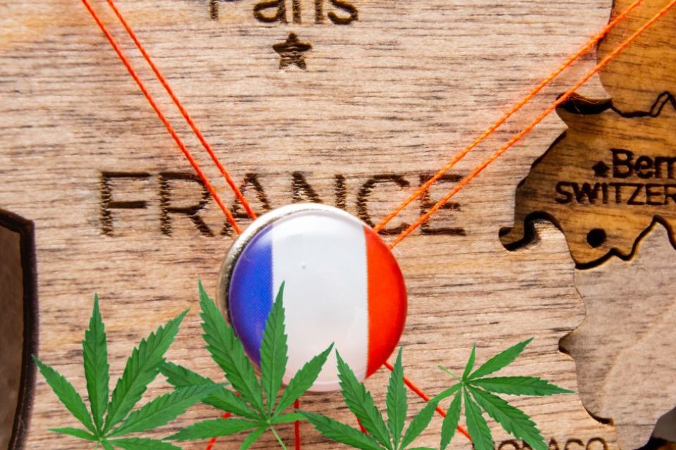 Drapeau français avec des feuilles de cannabis