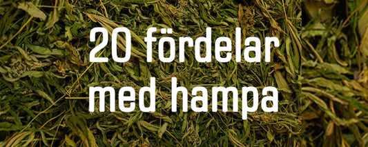 20 avantages du chanvre