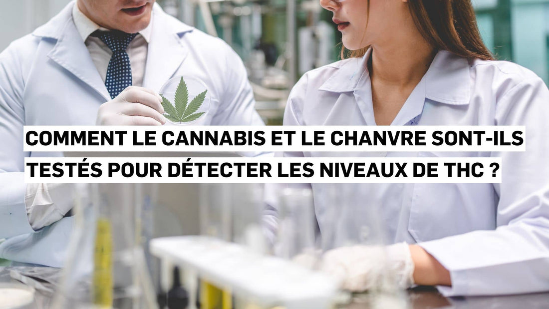 Comment le cannabis et le chanvre sont-ils testés pour détecter les niveaux de THC ?
