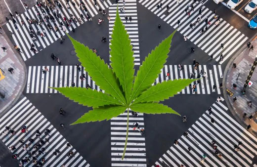 Ginza, Tokyo. et une feuille de cannabis