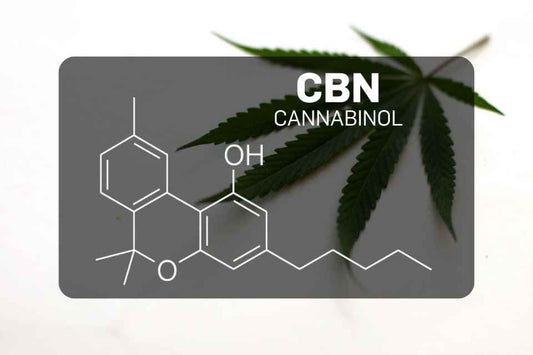 Qu'est-ce que le CBN (cannabinol) ?