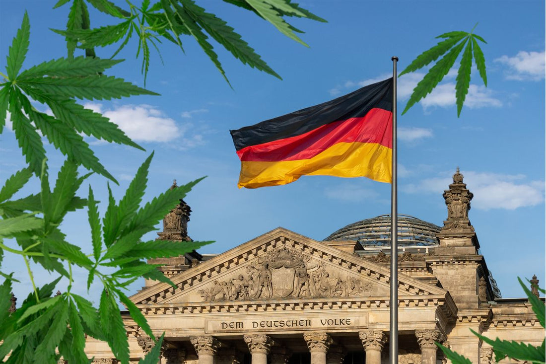 Feuille de cannabis devant le Reichstag