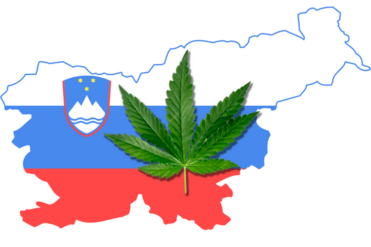 Les opposants au cannabis en Slovénie