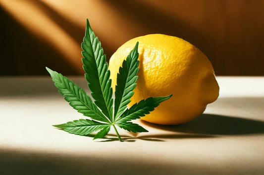 Un citron et une feuille de cannabis