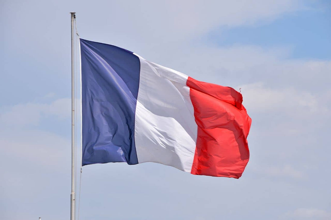 drapeau de la France flottant