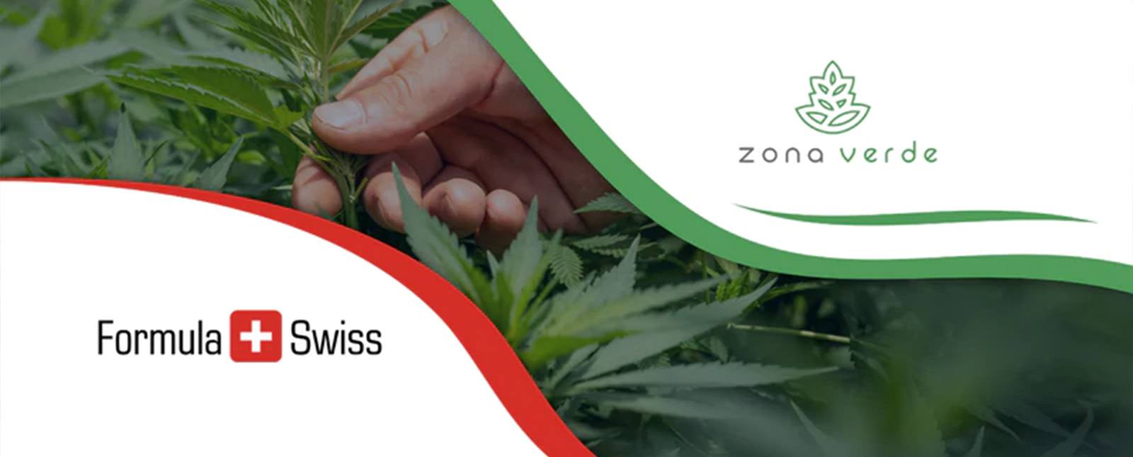 Formula Swiss s'associe avec le principal détaillant de cannabis en Roumanie.