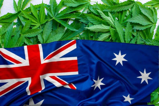 Feuilles de cannabis et drapeau australien