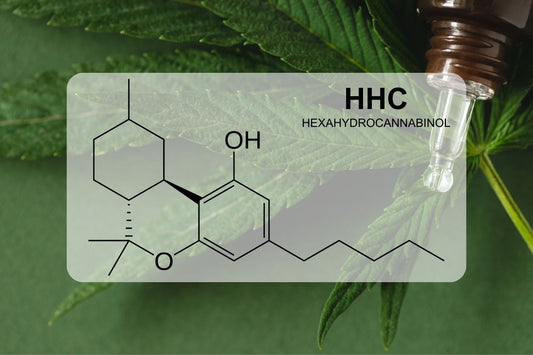 Qu'est-ce que le HHC (hexahydrocannabinol) ?