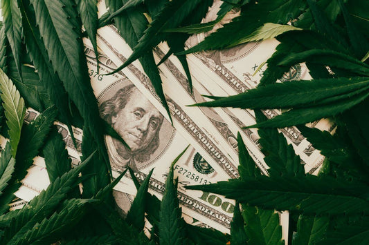 Dollar et feuilles de cannabis