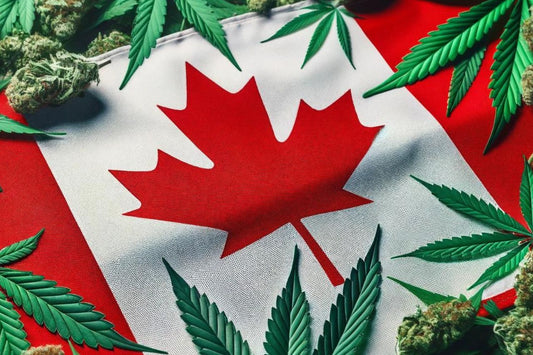 Drapeau canadien et feuilles de cannabis