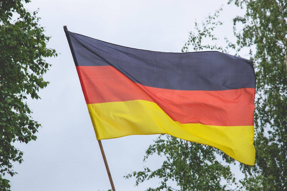 Drapeau de l'Allemagne flottant