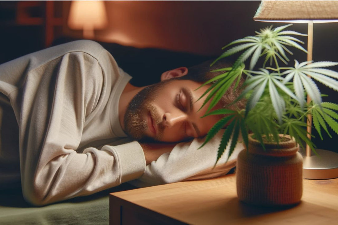 Homme endormi avec une plante de cannabis à ses côtés