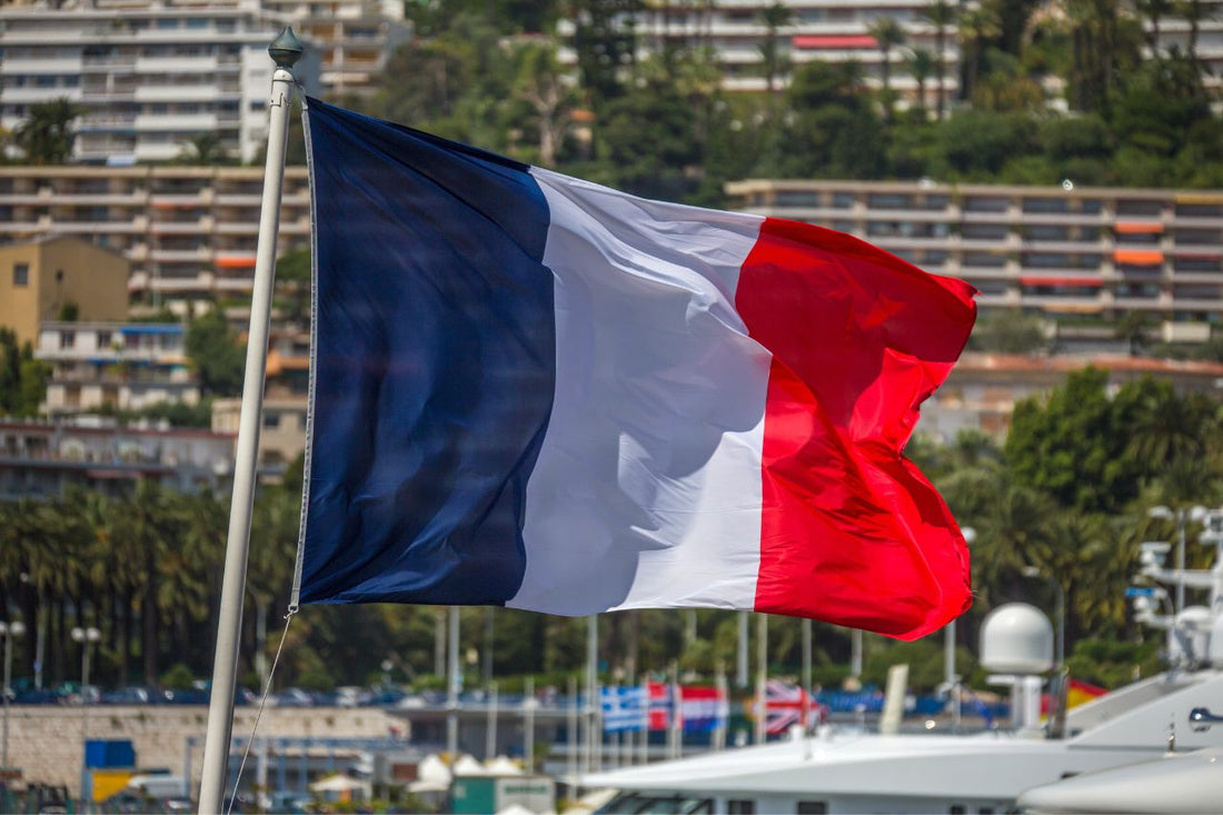 Drapeau de la France au milieu