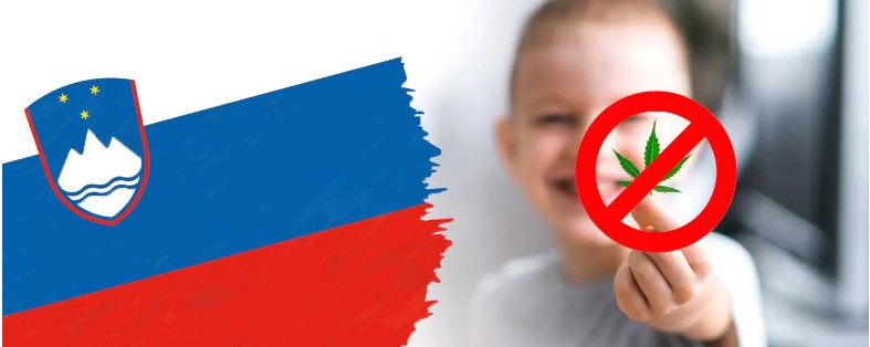La Slovénie interdit le CBD après que des producteurs locaux ont empoisonné des enfants