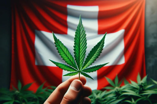Feuille de cannabis sur le drapeau suisse