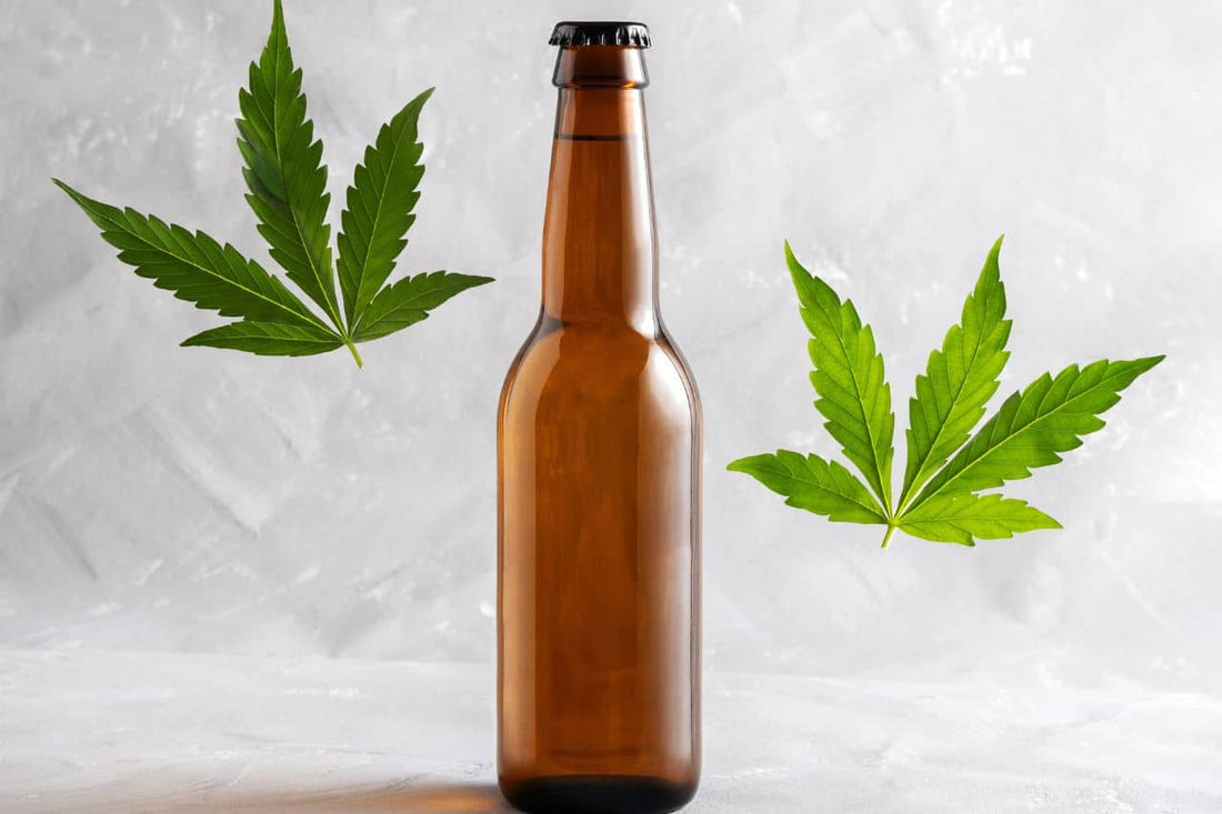 feuilles de cannabis et une bouteille de bière