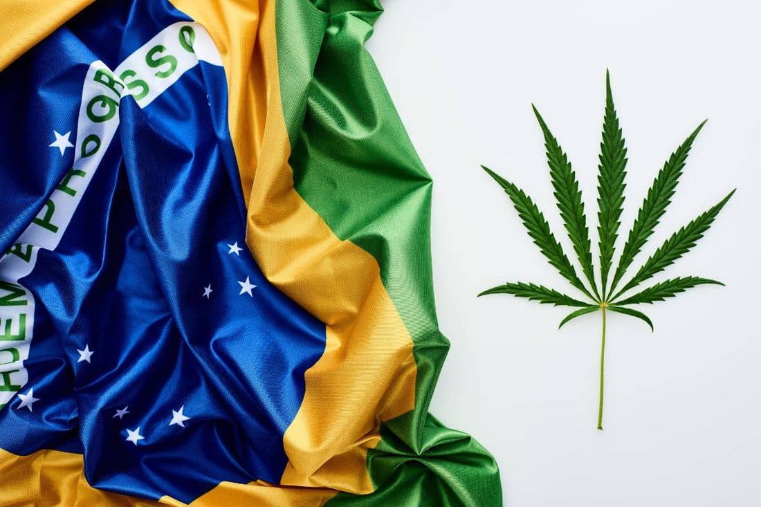 Drapeau du Brésil et feuille de cannabis