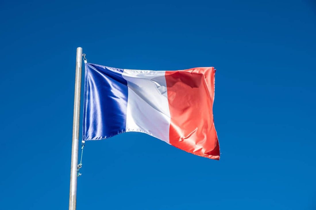 Drapeau de la France flottant