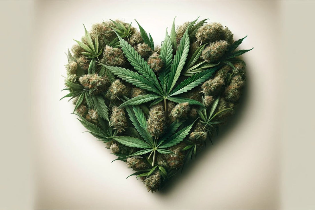Le cannabis en forme de cœur