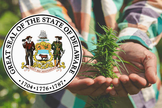 Le Delaware légalise le cannabis pour adultes