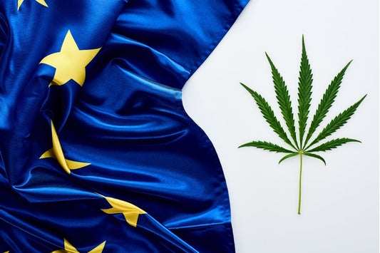 La prévalence du cannabis en Europe