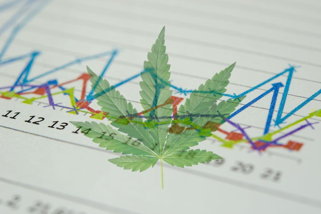 Le cannabis médical : Émergence et impact au niveau mondial