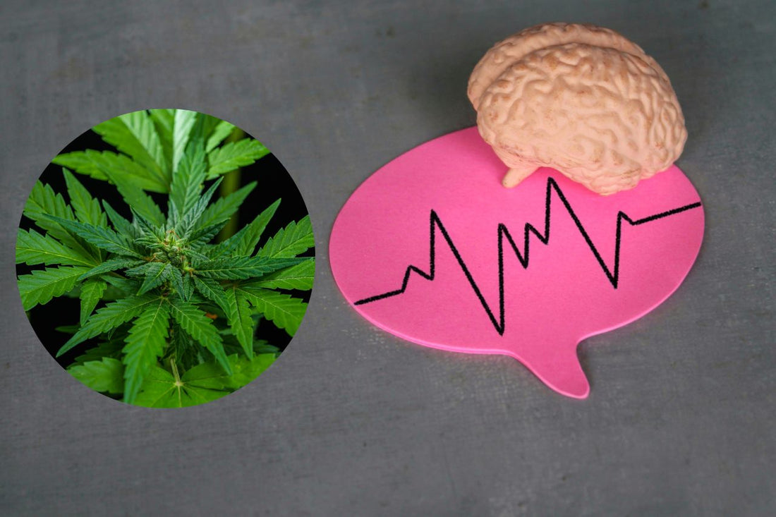 Le cannabis pour le traitement neurologique