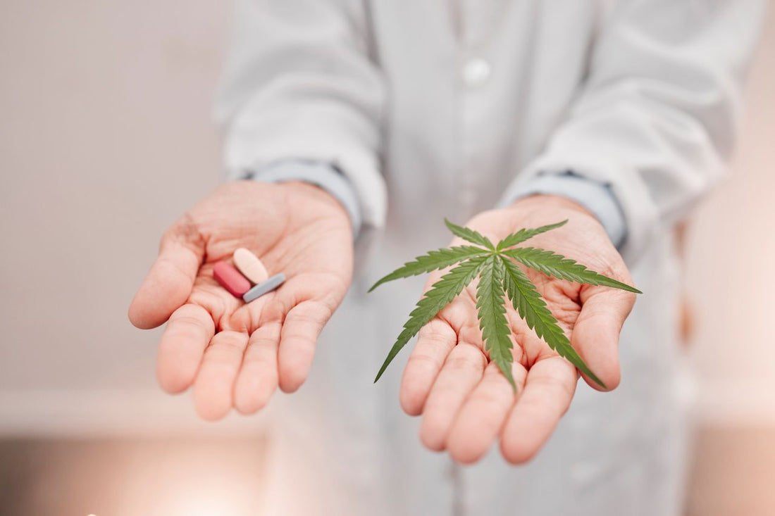  Le cannabis pourrait réduire les envies d'opioïdes