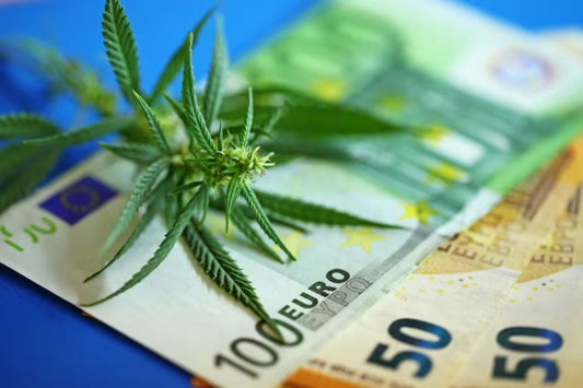 Légalisation du cannabis en Allemagne 
