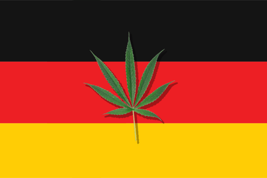 Légalisation du cannabis en Allemagne