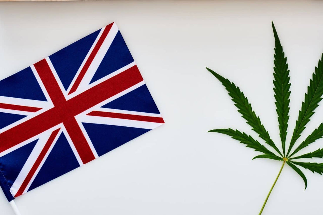 feuille de cannabis et drapeau du Royaume-Uni