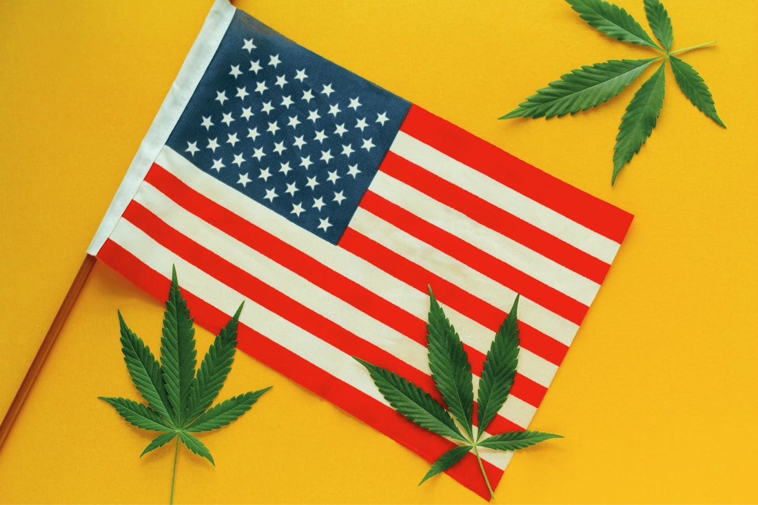Drapeau des États-Unis avec trois feuilles de cannabis