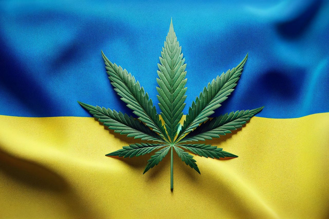 Drapeau ukrainien et feuille de cannabis