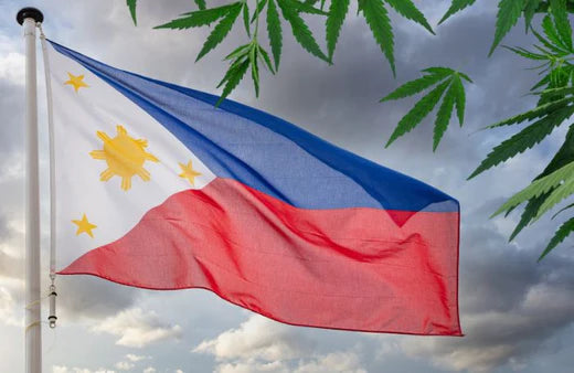 Un drapeau philippin agité et des feuilles de cannabis