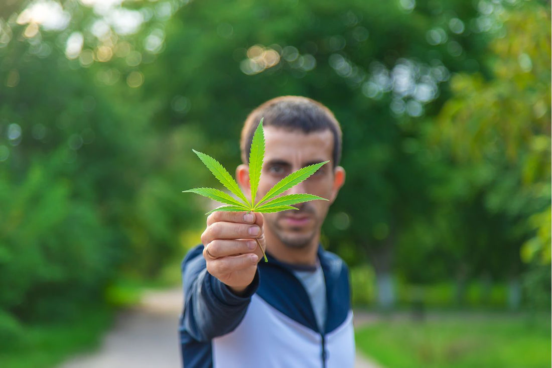 Politique israélienne en matière de cannabis médical