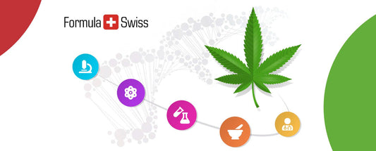 Communiqué de presse : Des chercheurs néerlandais s'associent à une société suisse de production de cannabis pour rechercher des alternatives sûres et naturelles à la résolution des problèmes de sommeil