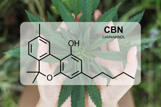 Qu'est-ce que le CBN (cannabinol) ?