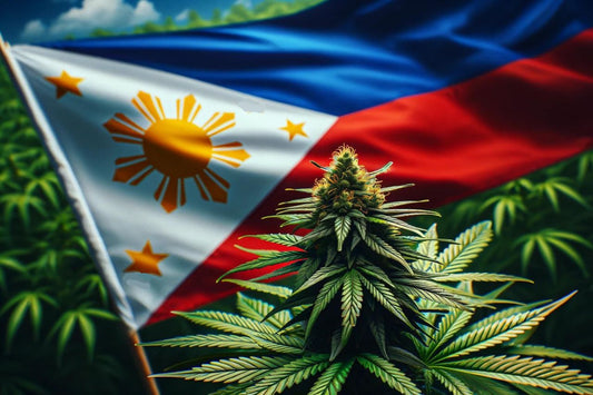 Plante de cannabis et drapeau philippin