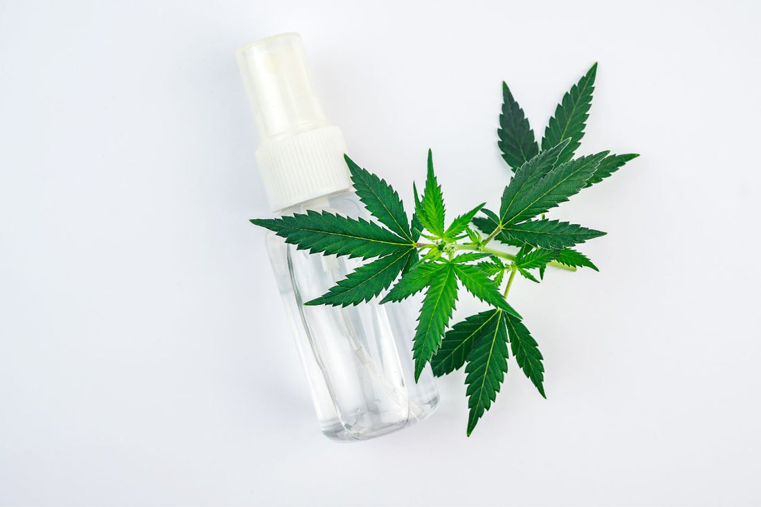 Le cannabis en spray : une lueur d'espoir