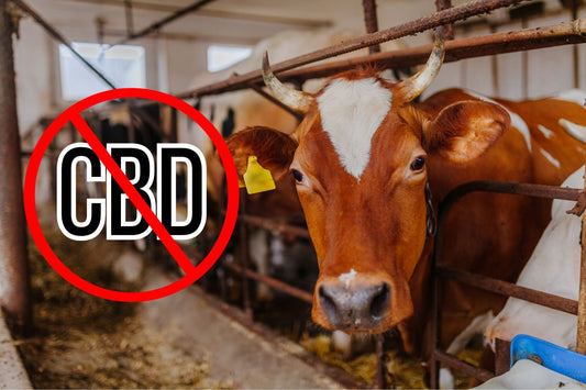 Interdire le signe CBD dans une exploitation laitière