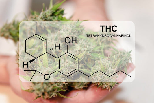 Qu'est-ce que le THC (tétrahydrocannabinol) ?