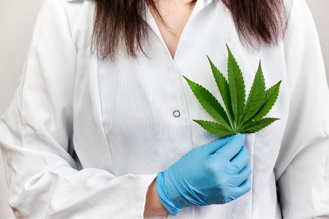 Un médecin tenant une feuille de cannabis