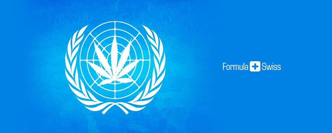 La Table Ronde des Nations Unis fait paraître la toute première étude sur la marijuana