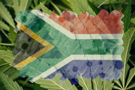 Drapeau africain et feuille de cannabis 